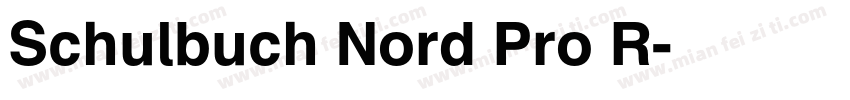 Schulbuch Nord Pro R字体转换